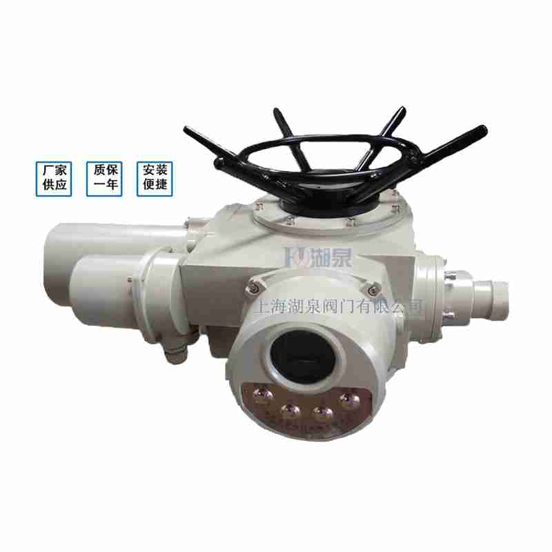 閥門電動裝置（dzw05,10,20，30,45,60，90,12