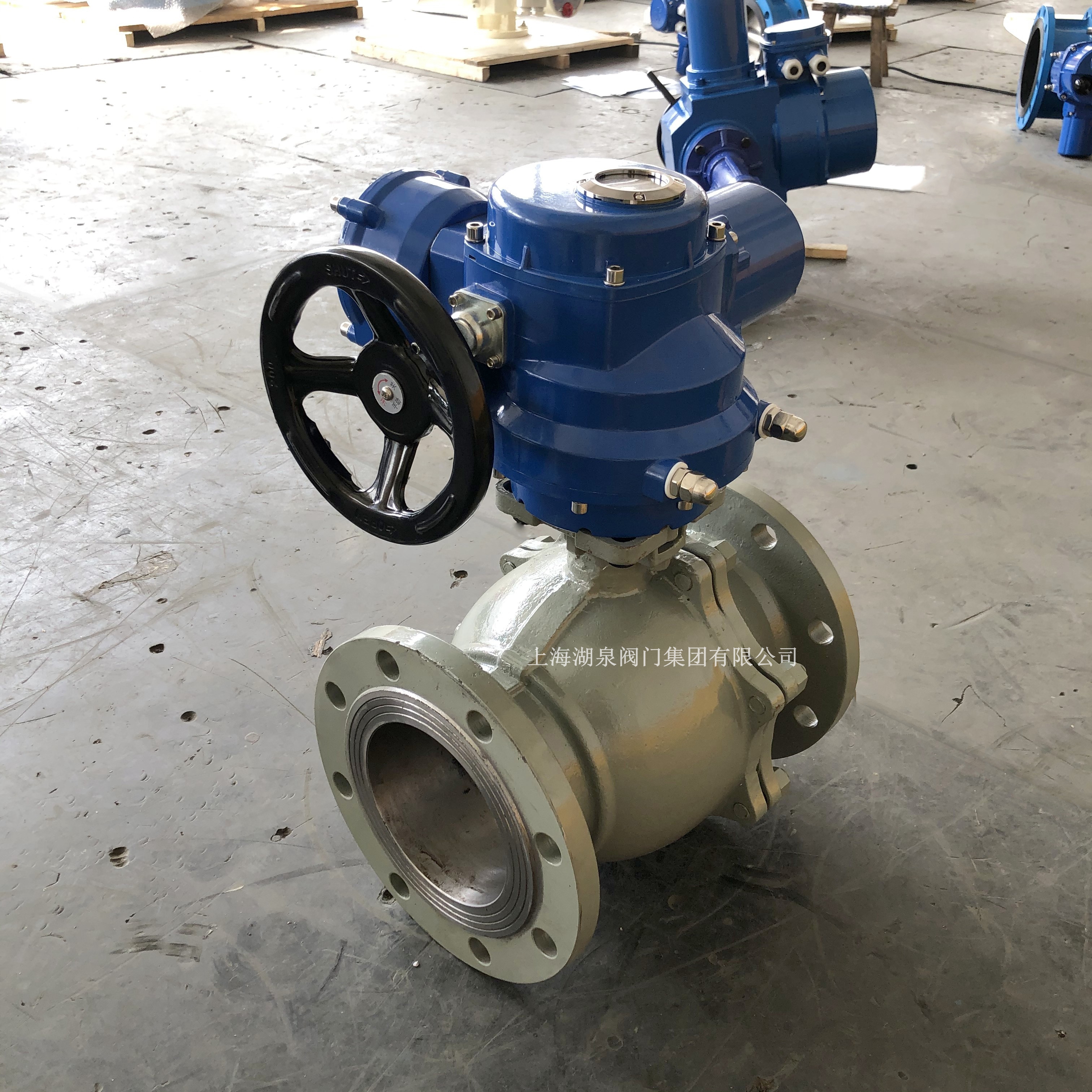 電動(dòng)球閥Q941F-16P DN250廠家價(jià)格(生產(chǎn)公司)