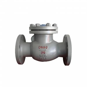 DN50 PN25 介質(zhì)：甲胺，溫度：80℃止回閥