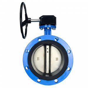 法蘭式蝸輪蝸桿蝶閥DN40，1.6Mpa（橡膠密封